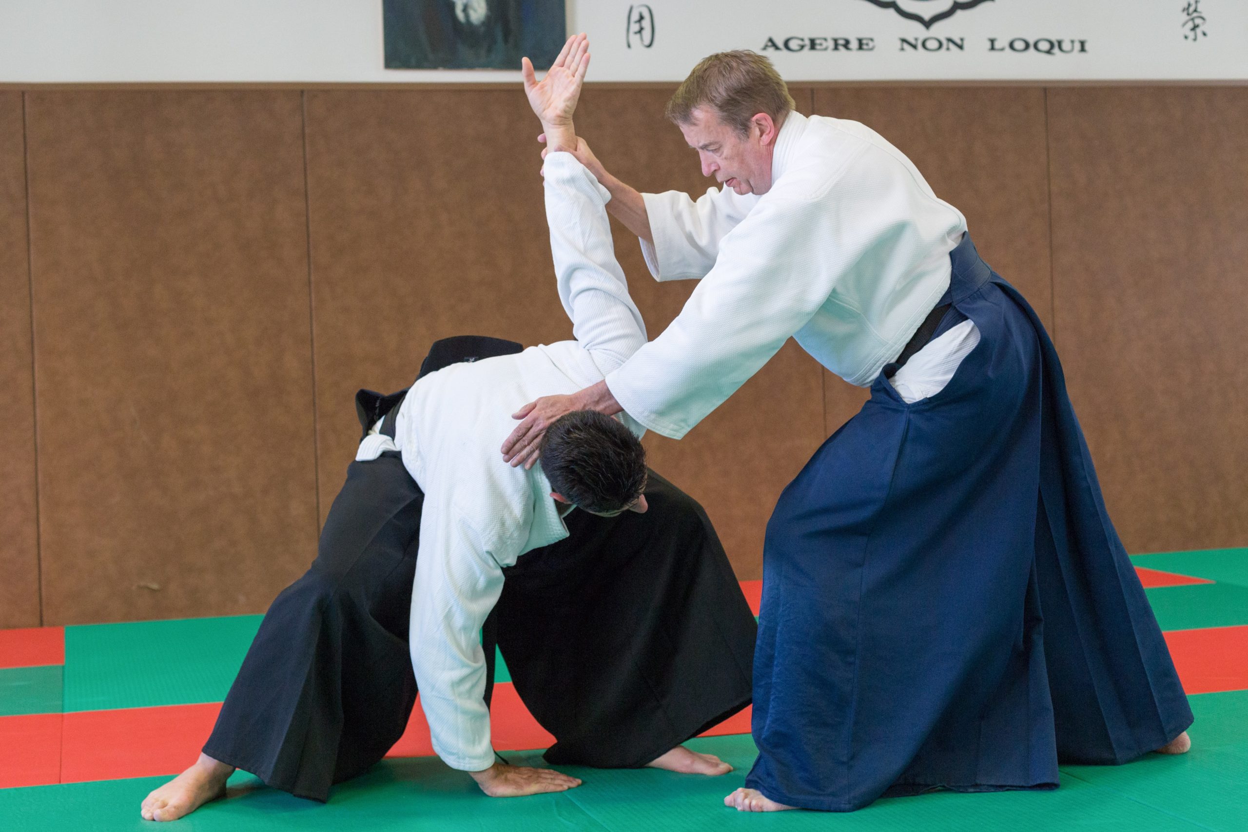 2016-06_20_Aikido_2 (87)-min